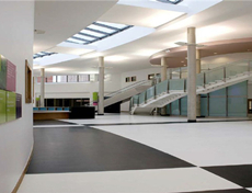 寫(xiě)字樓用pvc地板膠工程案例