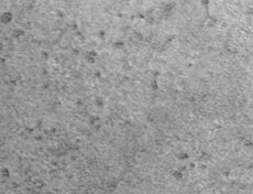 仿石紋PVC地板片材3.0mm厚