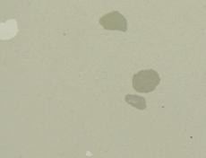 平面碎花橡膠地板耐磨耐壓阻燃